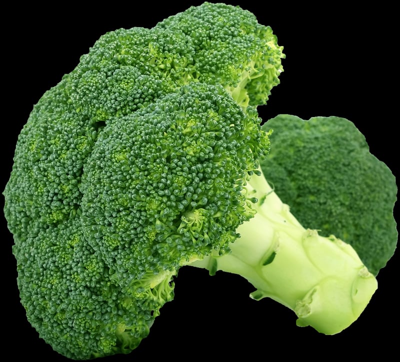 Vegetable Stir-Fry